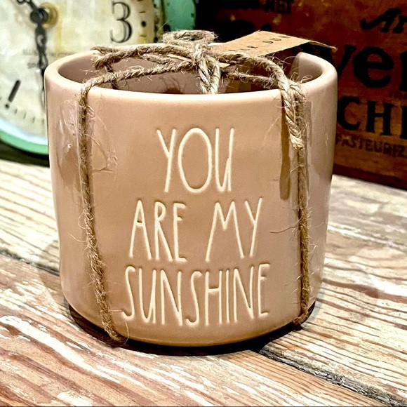 Rae Dunn Accessories - Rae Dunn Planter, Flower Pot, You Are My Sunshine, NWT, Tan